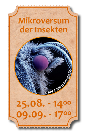 Insekten SDVF