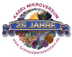 Schloss Weißenstein